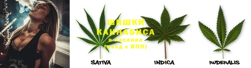 Бошки Шишки OG Kush  Балтийск 